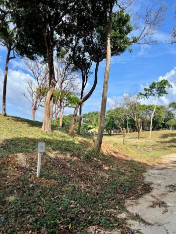 Prodej pozemku, Coxen Hole, Roatán, Honduras, 847 m2