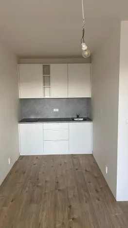 Pronájem bytu 1+kk, Klecany, V Honech, 33 m2