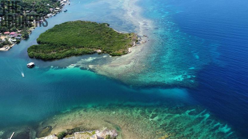 Prodej pozemku, Coxen Hole, Roatán, Honduras, 1000 m2