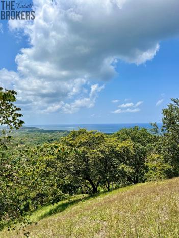 Prodej pozemku, Coxen Hole, Roatán, Honduras, 740 m2
