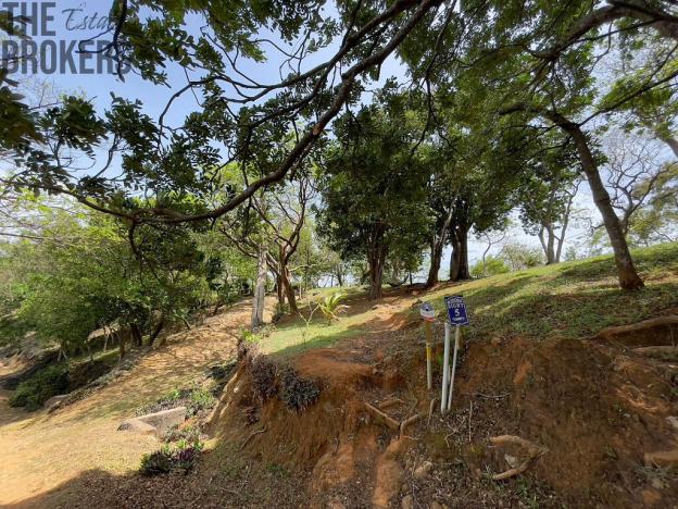 Prodej pozemku, Coxen Hole, Roatán, Honduras, 1821 m2