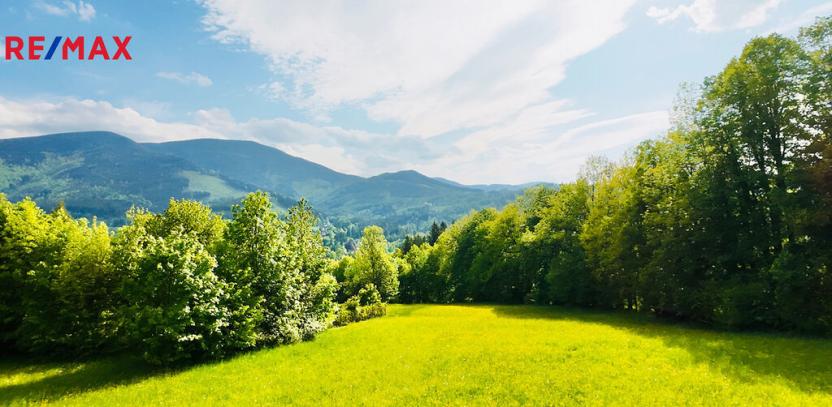 Prodej pozemku, Ostravice, 8947 m2