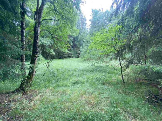 Prodej pole, Krásná, 11900 m2