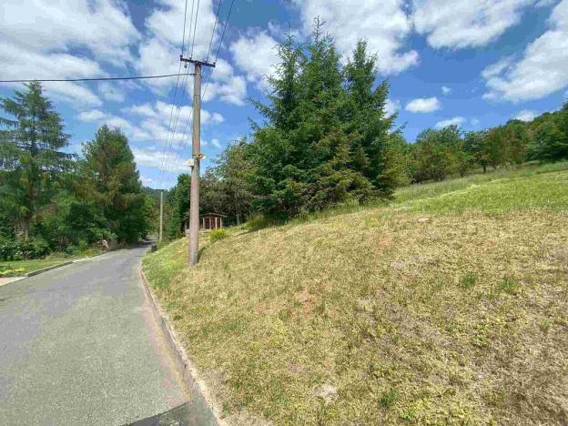 Prodej pozemku, Nedašova Lhota, 2790 m2