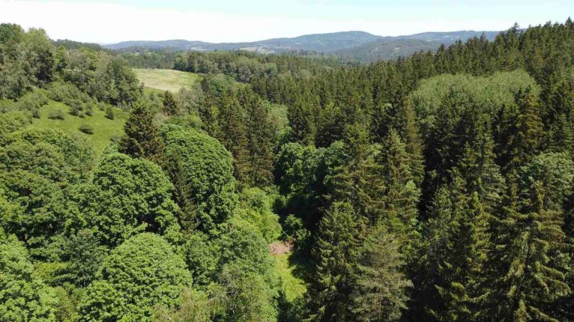 Prodej pozemku, Hartmanice, 9140 m2