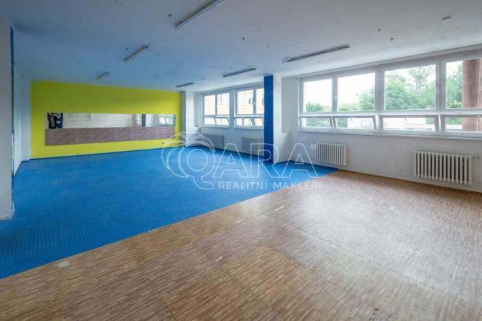 Pronájem kanceláře, Mělník, Bezručova, 261 m2