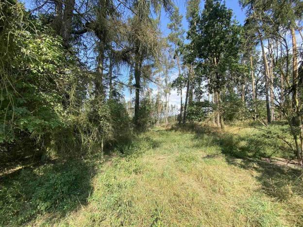 Prodej pozemku, Kočov, 8532 m2