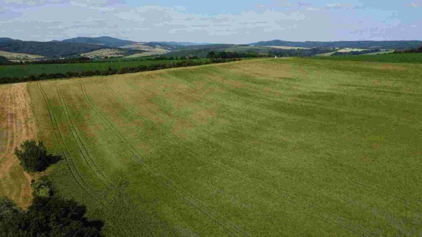 Prodej pozemku, Dobrkovice, 30944 m2