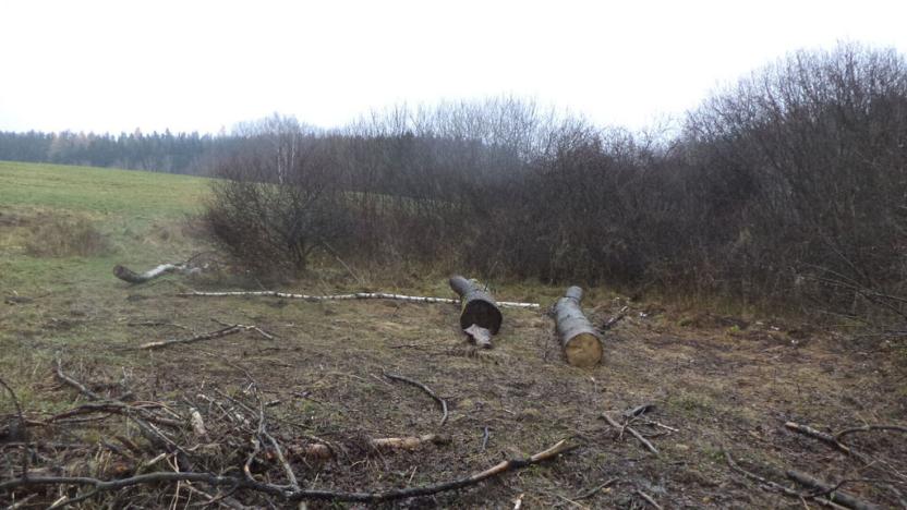 Prodej pozemku, Vyšší Brod, 919 m2