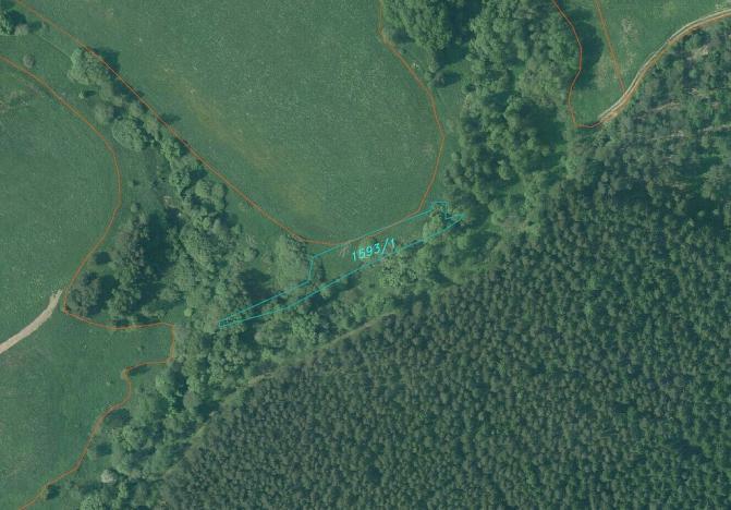 Prodej pozemku, Vyšší Brod, 919 m2