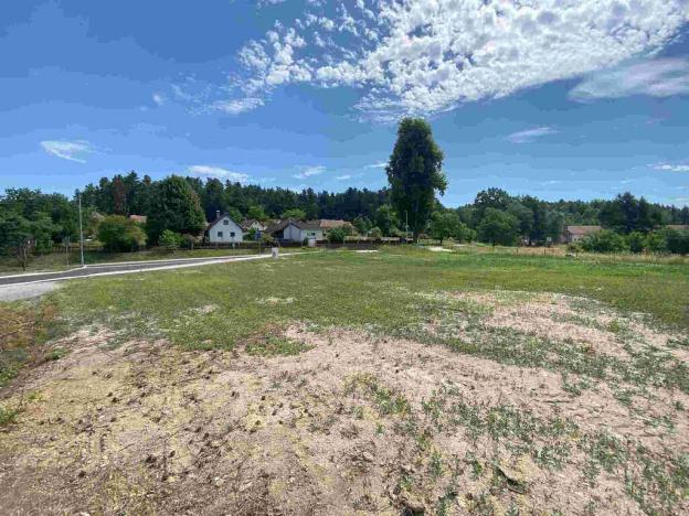 Prodej pozemku, Slavče - Dobrkovská Lhotka, 1308 m2