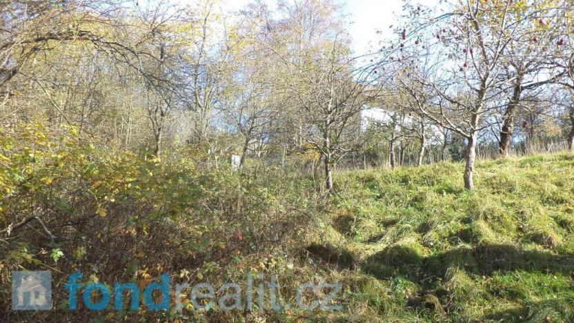 Prodej pozemku, Nové Hrady, 813 m2