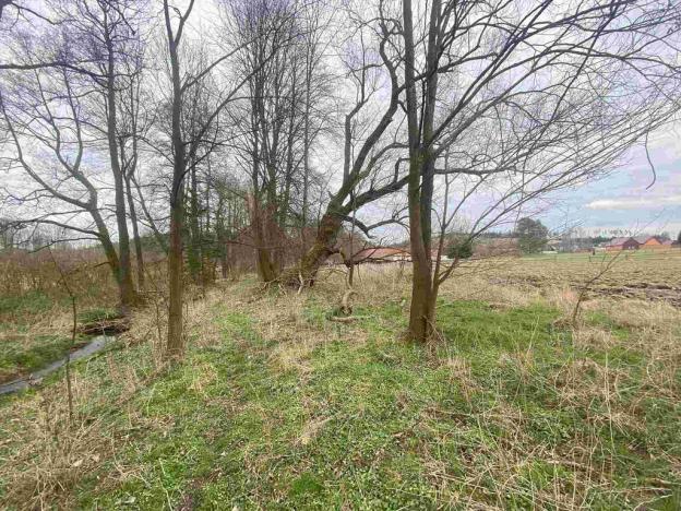 Prodej pole, Žinkovy, 15275 m2