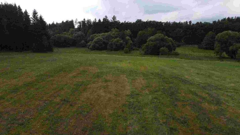 Prodej pole, Chýnov - Dobronice u Chýnova, 22334 m2