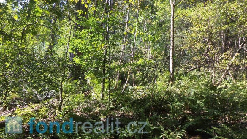 Prodej pozemku, Roztoky u Semil, 15217 m2