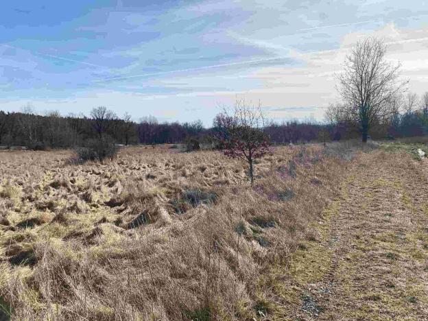 Prodej pole, Františkovy Lázně, 17923 m2