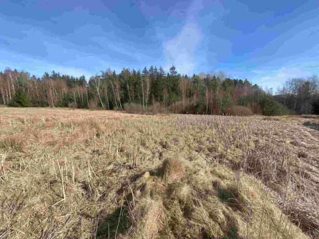 Prodej pole, Františkovy Lázně, 17923 m2