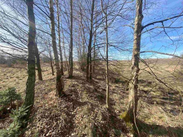 Prodej pole, Františkovy Lázně, 17923 m2