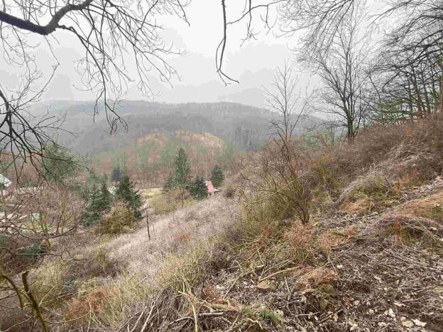 Prodej pozemku, Ryjice, 3310 m2