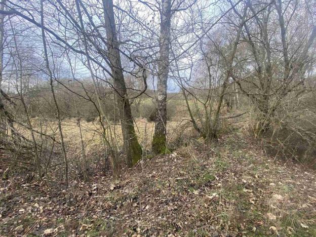 Prodej pozemku, Dolní Dvořiště - Trojany, 18915 m2