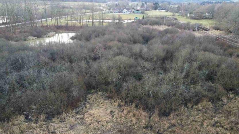 Prodej pozemku, Nové Hrady - Štiptoň, 35772 m2