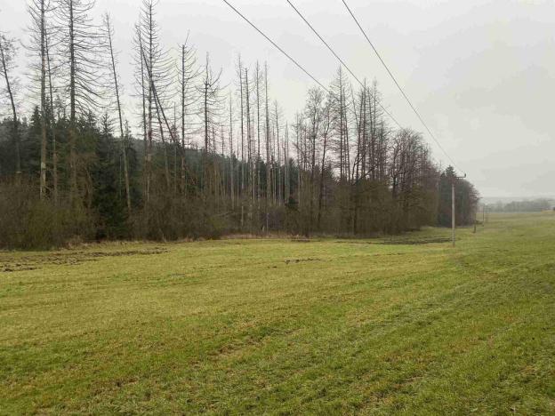 Prodej pozemku, Hosín - Dobřejovice, 10244 m2