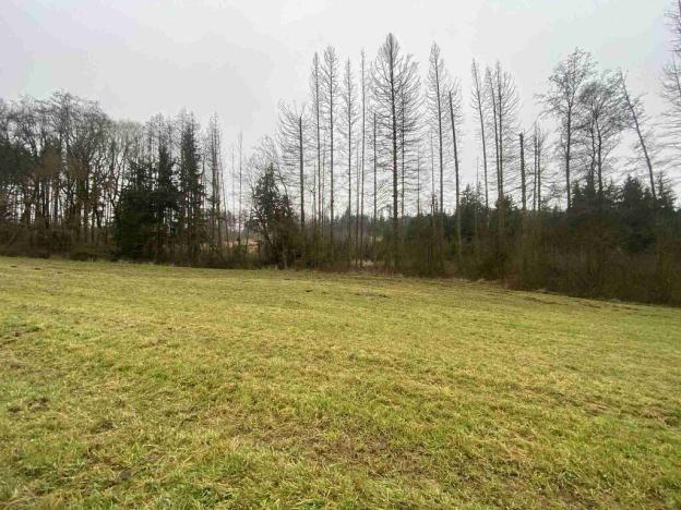 Prodej pozemku, Hosín - Dobřejovice, 10244 m2