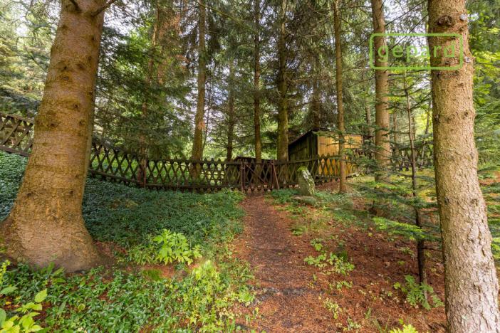 Prodej chalupy, Abertamy, Rooseweltova, 163 m2