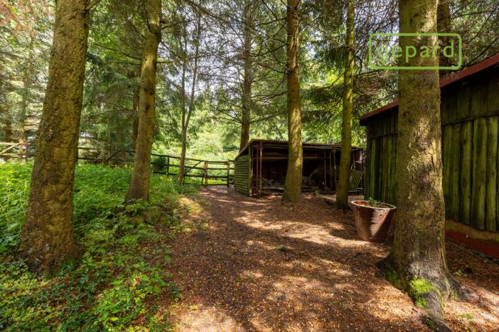 Prodej chalupy, Abertamy, Rooseweltova, 163 m2