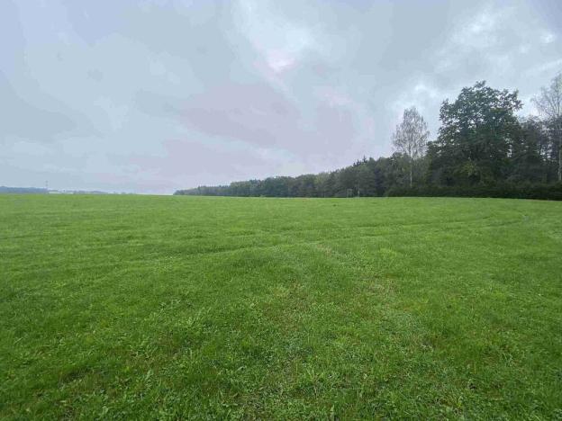 Prodej pozemku, Borovany, 1647 m2