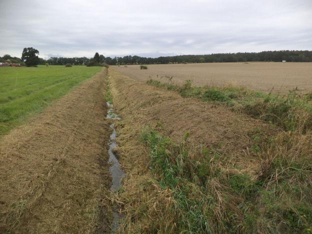 Prodej pozemku, Radošovice - Tupesy, 1227 m2