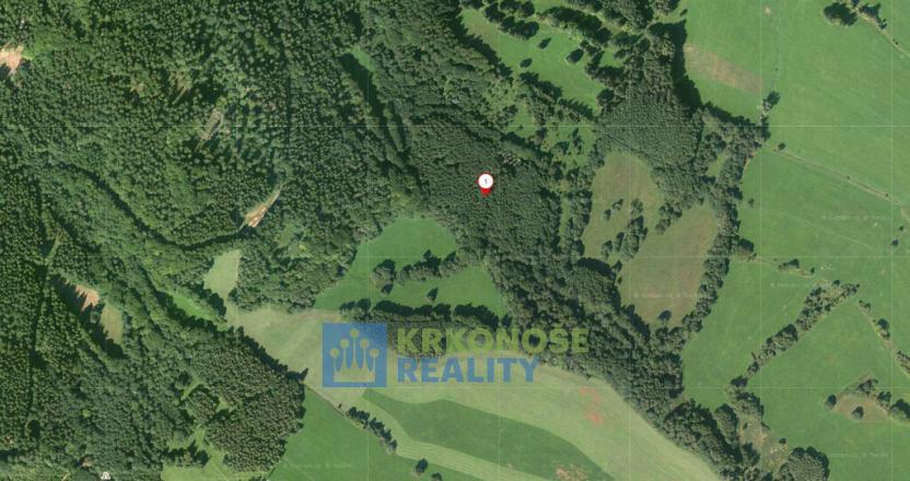 Prodej louky, Trutnov - Babí, 68585 m2