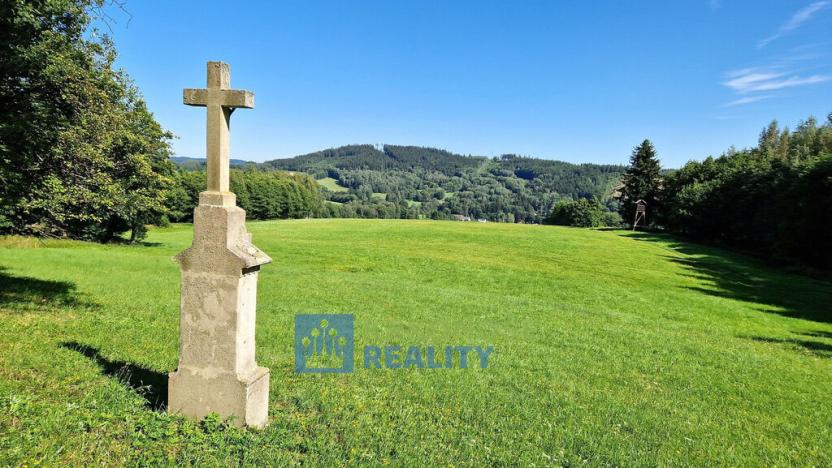 Prodej louky, Trutnov - Babí, 68585 m2