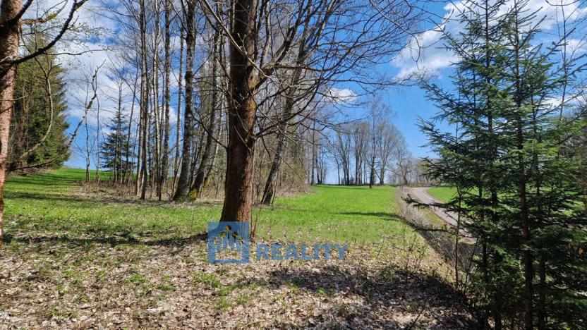 Prodej pozemku, Černý Důl - Čistá v Krkonoších, 2788 m2