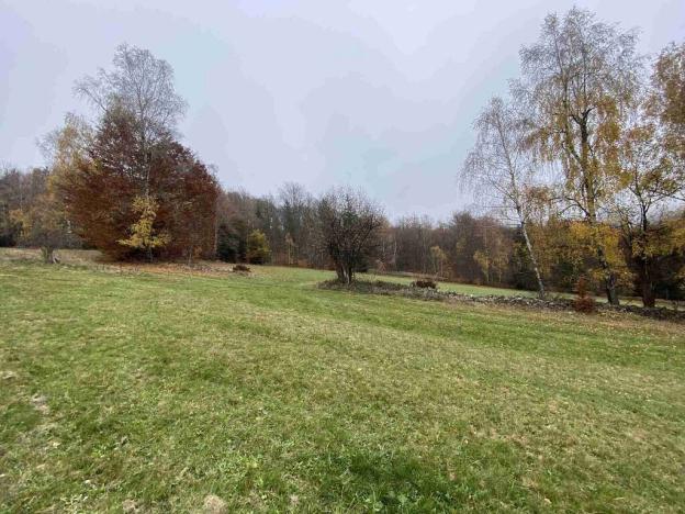 Prodej pole, Chvalšiny, 1158 m2