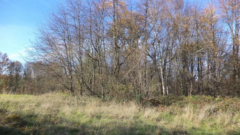 Prodej pozemku, Nové Hrady - Nakolice, 1117 m2