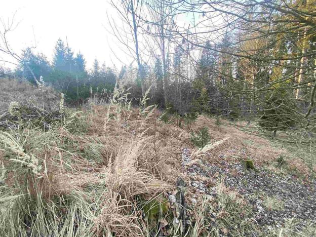 Prodej pozemku, Kočov, 5268 m2