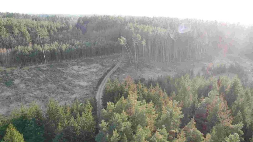 Prodej pozemku, Kočov, 5268 m2