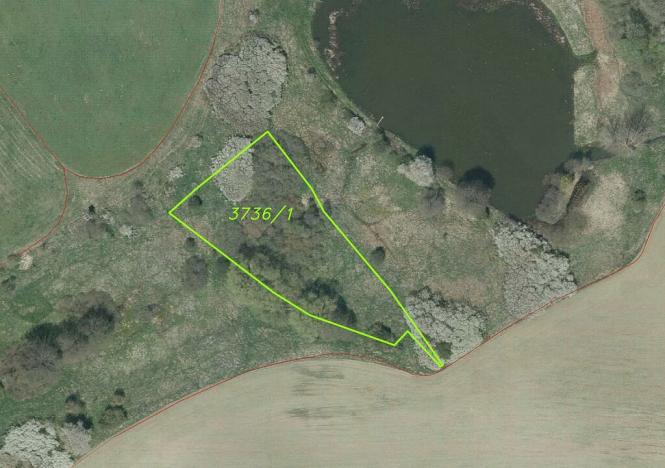 Prodej pozemku, Tachov, 27085 m2