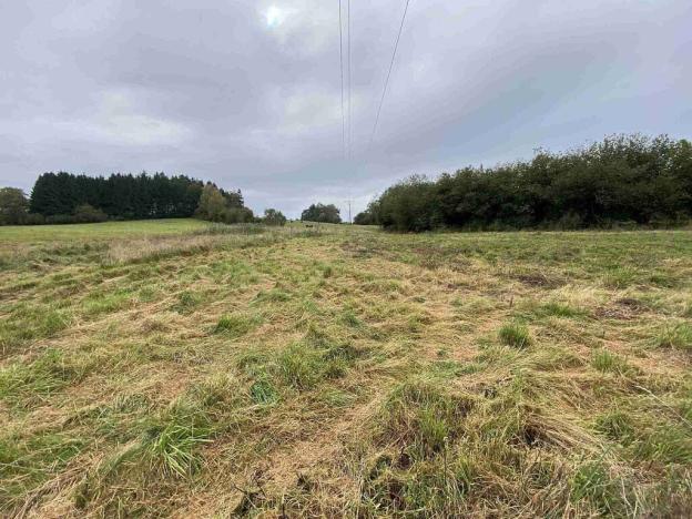 Prodej pozemku, Nová Bystřice - Senotín, 11798 m2