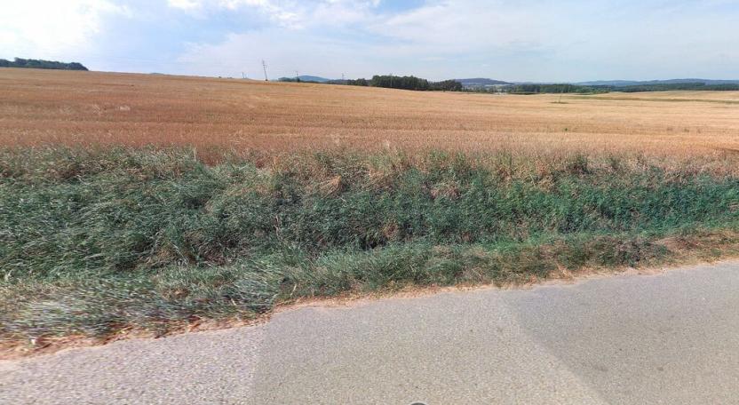 Prodej komerčního pozemku, Cehnice, 9229 m2