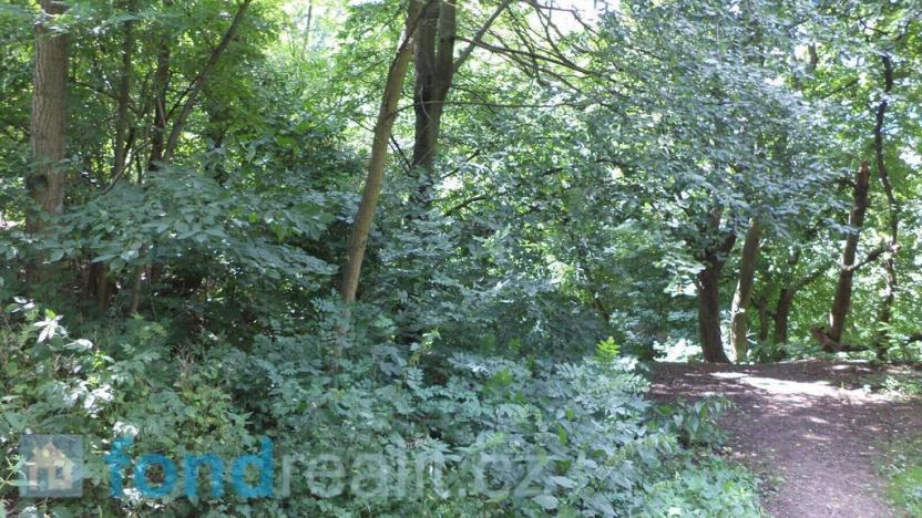 Prodej pozemku, Ústí nad Labem, 610 m2