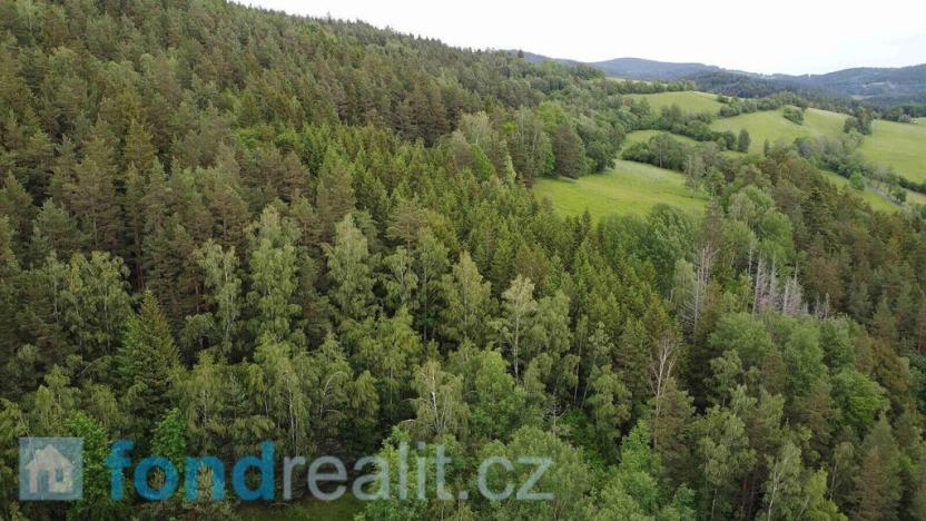 Prodej pozemku, Rejštejn, 5171 m2