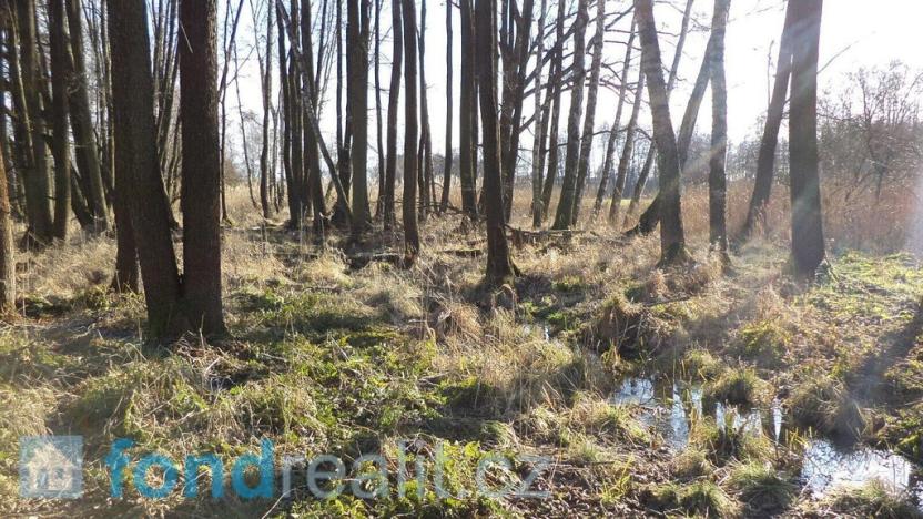 Prodej pozemku, Čejetice - Sudoměř, 62047 m2