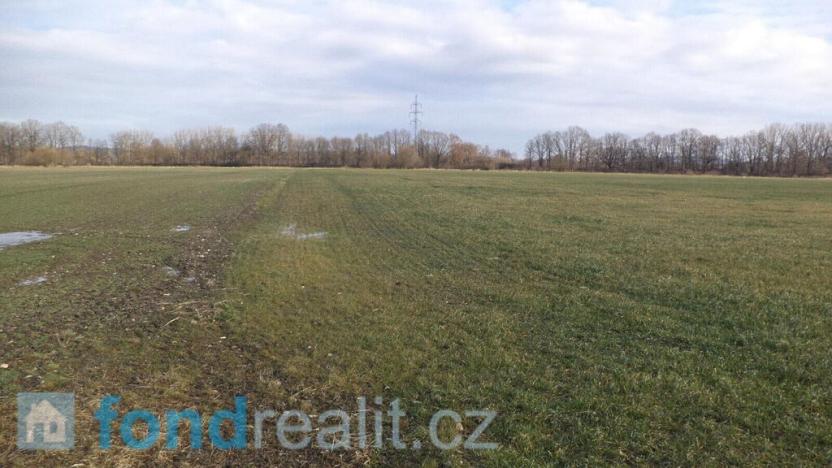 Prodej pozemku, Čejetice - Sudoměř, 62047 m2