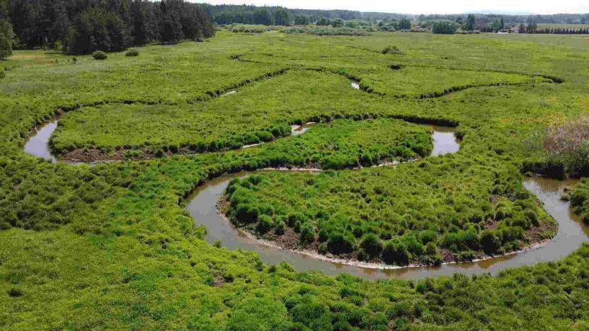 Prodej pozemku, Jílovice, 20535 m2