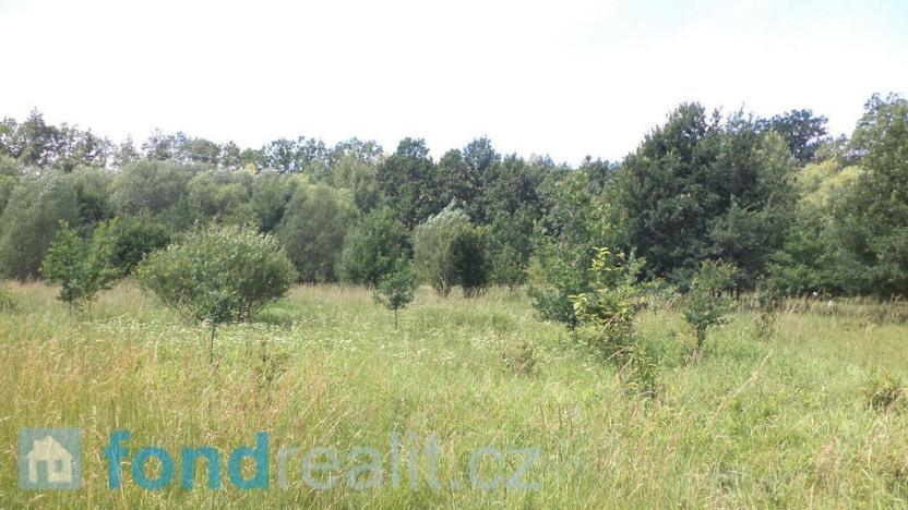 Prodej pozemku, Doudleby, 12879 m2