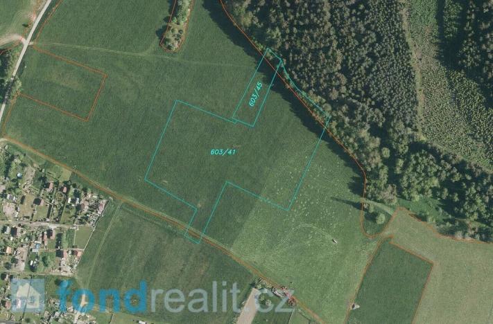 Prodej pole, Horní Planá, 45926 m2