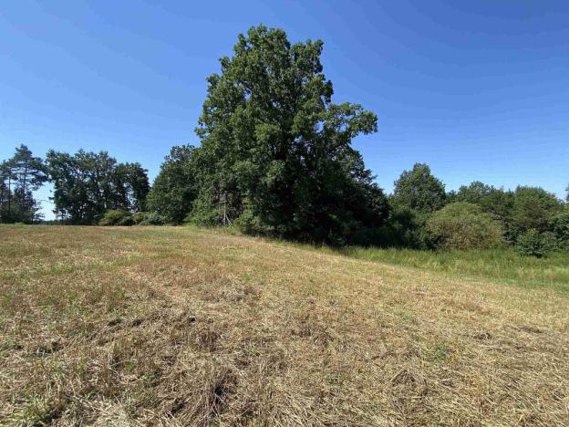 Prodej pole, Dražice, 4492 m2