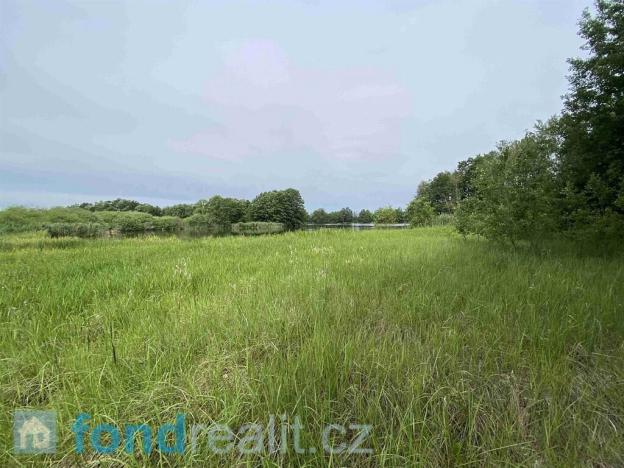 Prodej pozemku, Čejetice - Mladějovice, 1639 m2